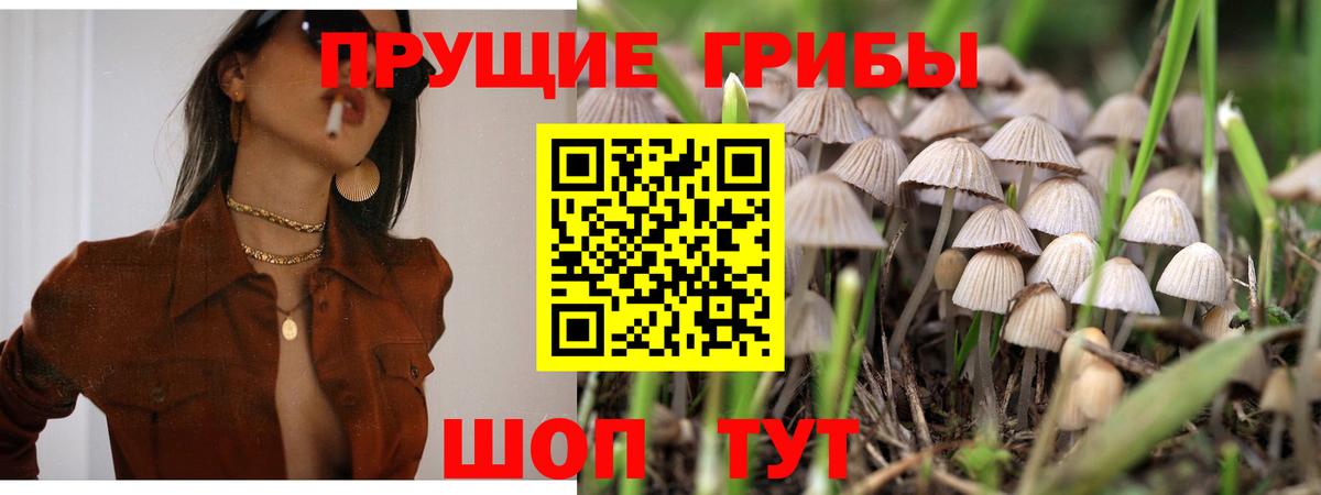 Строитель  Галлюциногенные грибы Magic Shrooms  где продают наркотики  Вход с VPN 